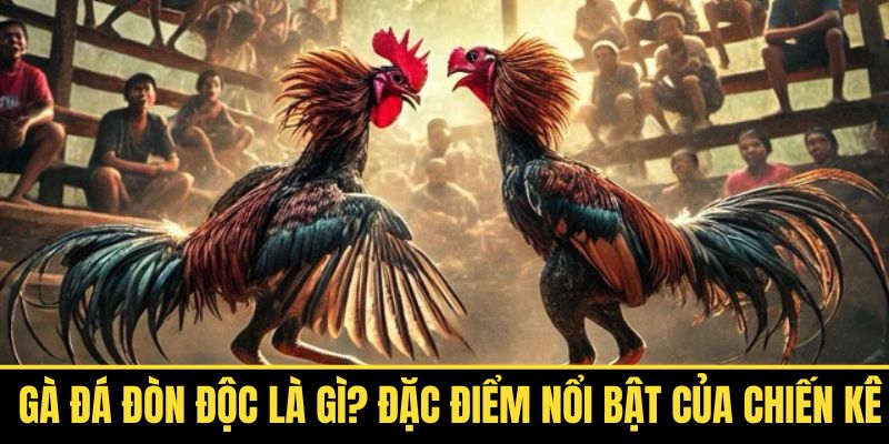 cach-xem-tuong-ga-da-don-doc-giup-chon-dung-chien-ke