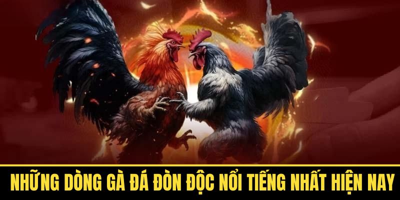 ga-da-don-doc-khien-doi-thu-guc-nga-ngay-lap-tuc
